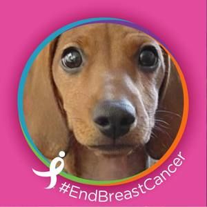 Meet your Posher, Debra